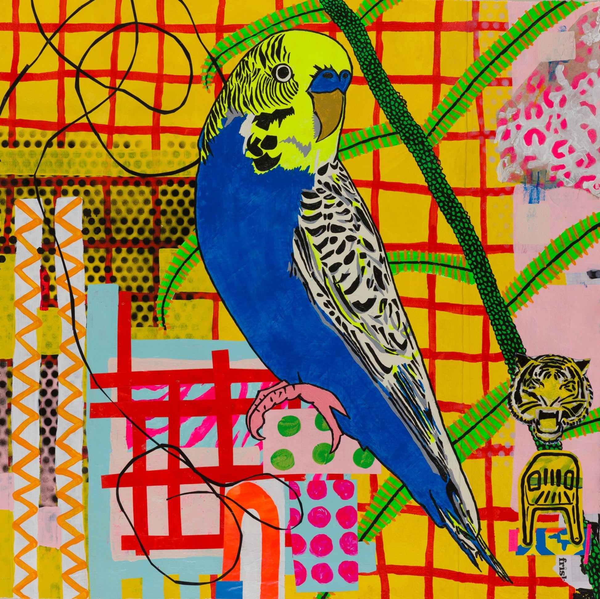 Budgies are Beautiful